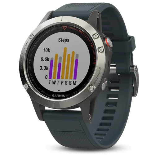 Смарт-часы Garmin Fenix 5 серебристые с синим ремешком